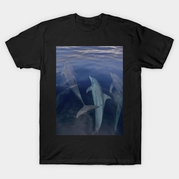 BRUNEI BAY DOLPHINS T-Shirt by dumbodancer